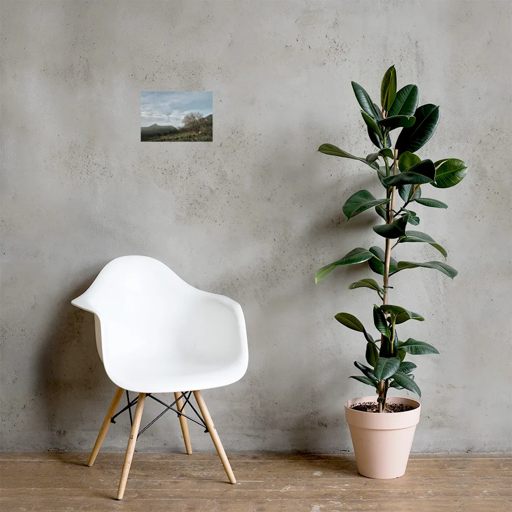 Junto a una moderna silla blanca, contra una pared de hormigón gris, hay una planta de caucho en maceta, con el cartel "Camino Virgen del Pino" enmarcado y colgado encima. La habitación tiene una estética minimalista con suelo de madera.