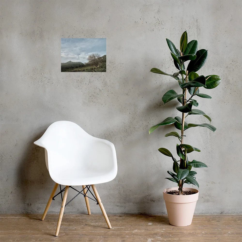 Una silla moderna de color blanco reposa sobre una pared neutra adornada con un pequeño volumen del Póster Camino Virgen del Pino. Junto a ella, una alta planta de caucho en maceta adorna el suelo de madera, fusionando elegancia y naturaleza en un diseño armonioso.