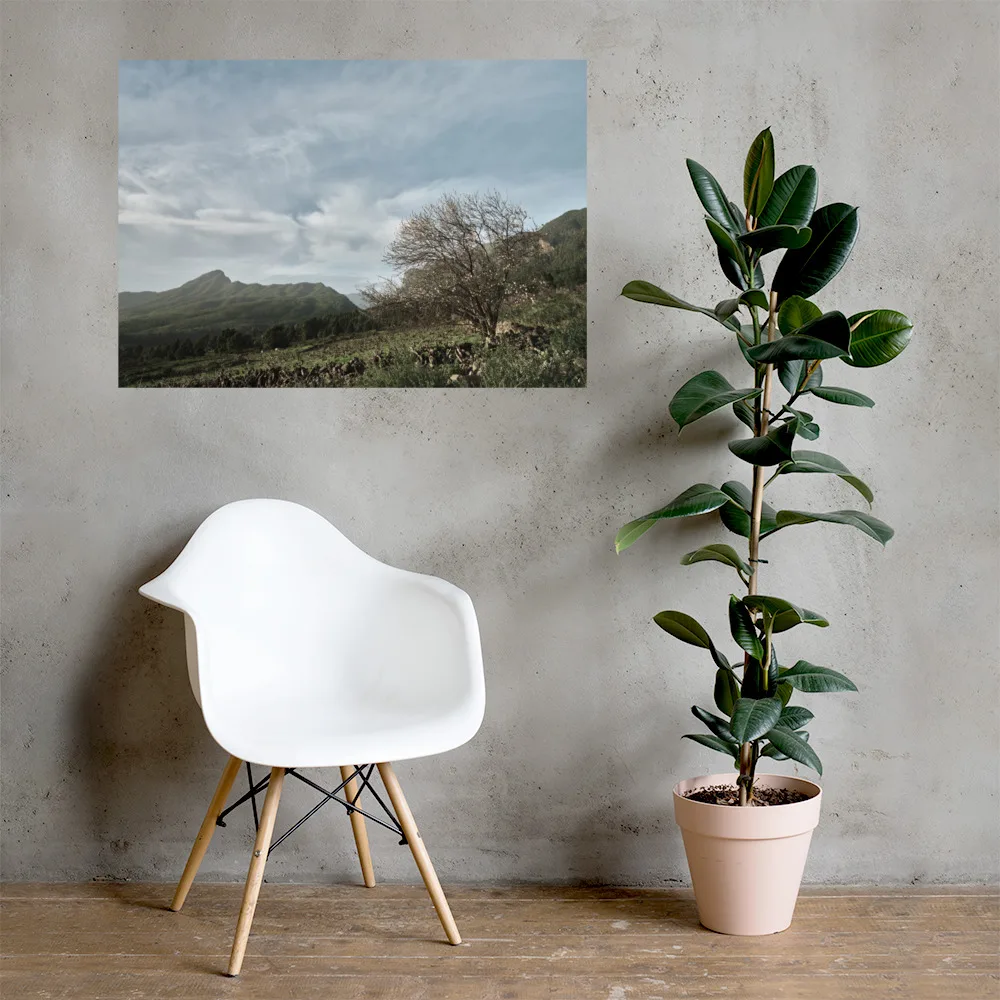 En una habitación minimalista, hay una silla moderna blanca combinada con una planta en maceta sobre el piso de madera. Una fotografía de paisaje titulada "Póster Camino Virgen del Pino" se exhibe en la pared texturizada, infundiendo Arte Decorativo en la atmósfera serena.